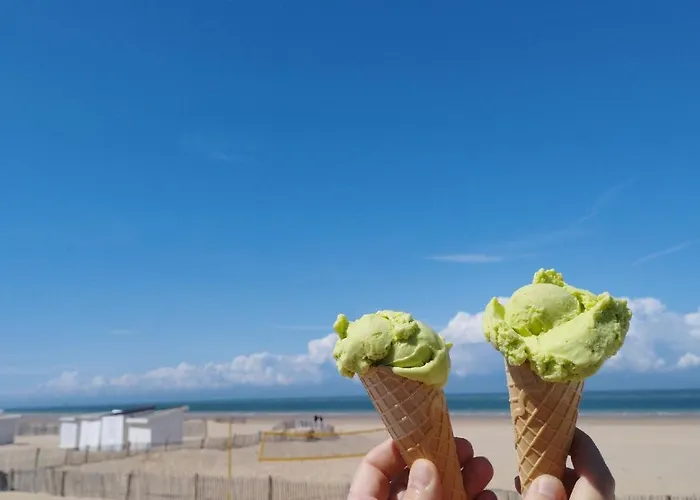 Le Blériot - Idéalement Situé Avec Sauna * Calais